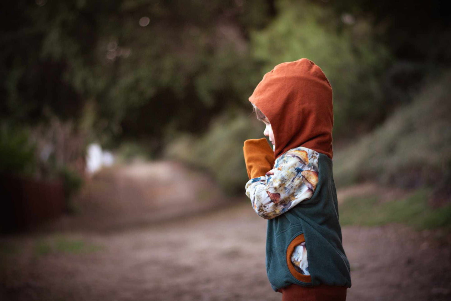 Mushroom Hoodie