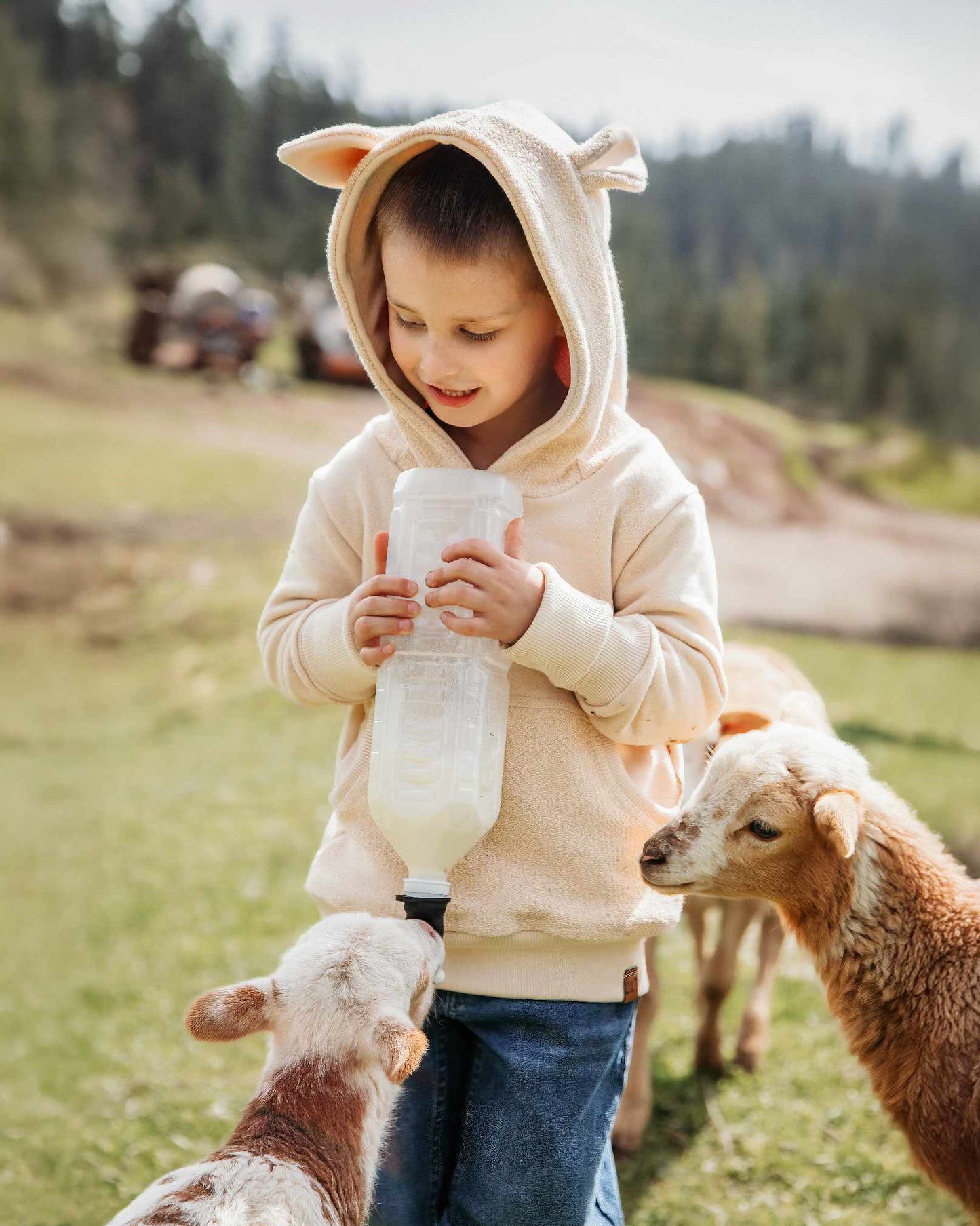 Spring Critter Hoodies