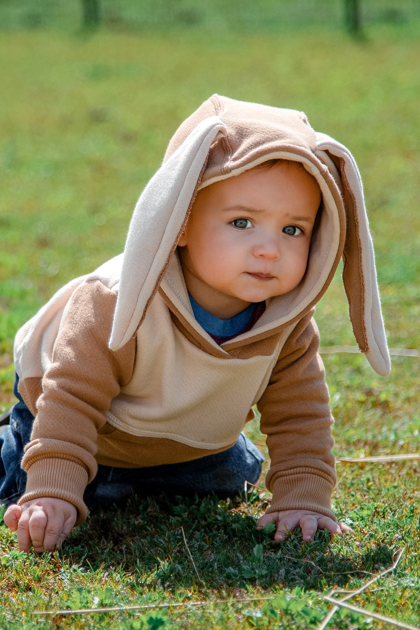 Spring Critter Hoodies